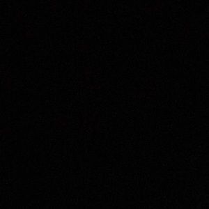 Meet your Posher, Audrey